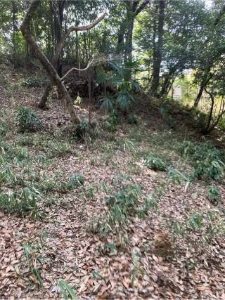 菅寺尾城（寺尾城）の登城記録(監督さん)