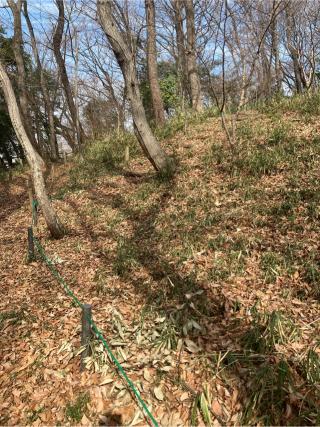 菅寺尾城（寺尾城）の登城記録(監督さん)