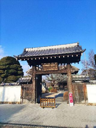 渋江氏館（渋井氏館）の登城記録(マリリさん)