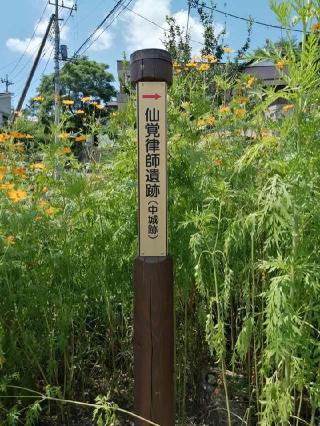 中城の登城記録(けいいちさん)