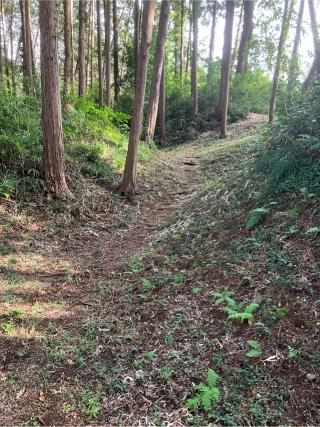 中城の登城記録(監督さん)