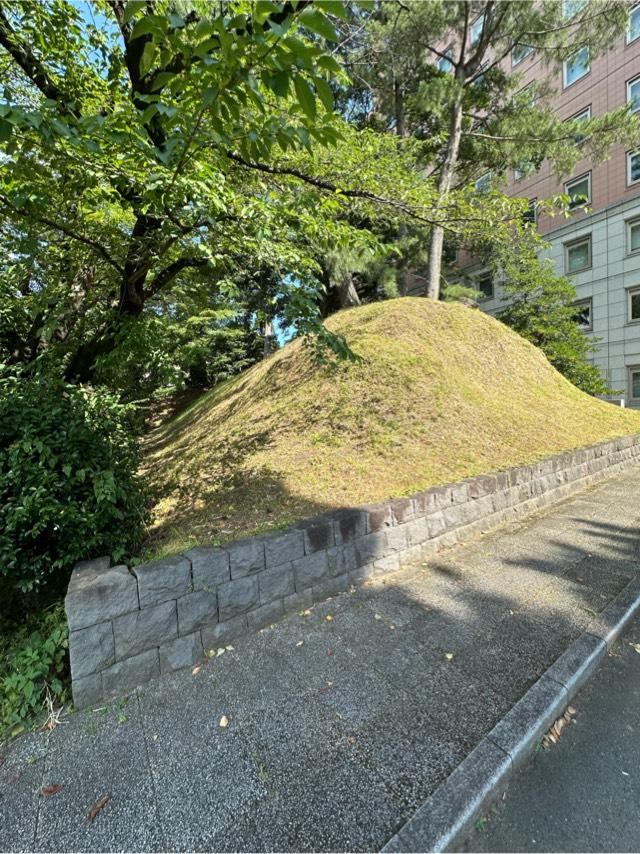 群馬県前橋市大手町２丁目１１−２４ 前橋城の写真3