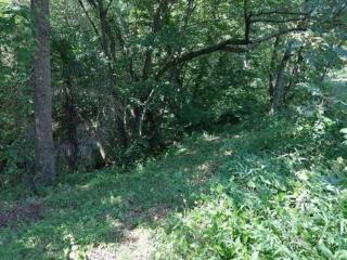 宮崎城（宮崎砦、民部城）の登城記録(けいいちさん)