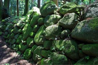 箕輪城の登城記録(こにーさん)