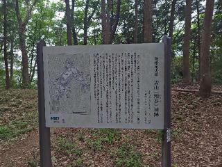 青山城（割谷城、下里城）の登城記録(yossyさん)