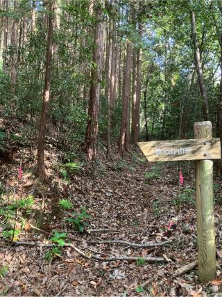 青山城（割谷城、下里城）の登城記録(監督さん)