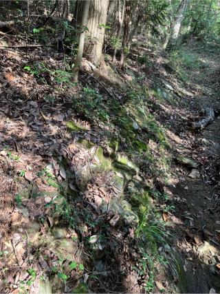 青山城（割谷城、下里城）の登城記録(監督さん)