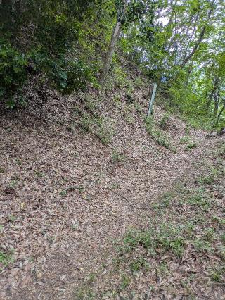 腰越城（根小屋城）の登城記録(まるさん)