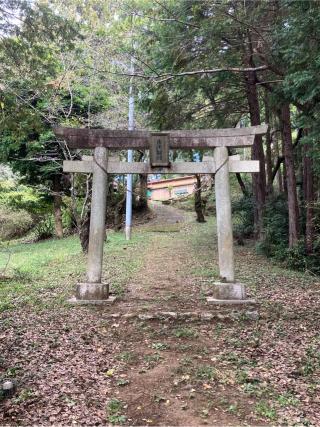 竜ヶ谷城（龍谷山城）の登城記録(監督さん)