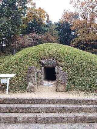 山名城の登城記録(マリリさん)