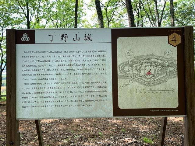 丁野山城の写真1