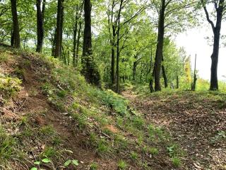 丁野山城の登城記録(くーさん)