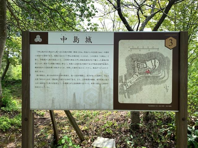 中島城の写真1