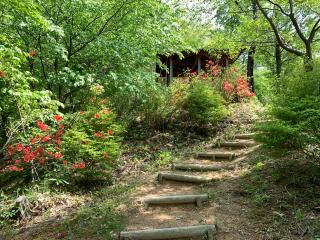 中島城の登城記録(くーさん)