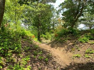 中島城の登城記録(くーさん)