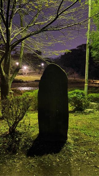 岩槻城の登城記録(みねさん)