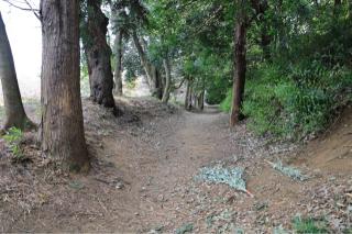 岩槻城の登城記録(こにーさん)