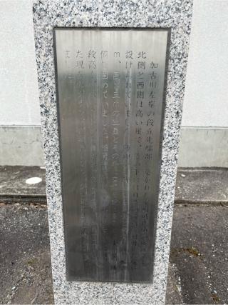 葉多城の登城記録(虎さん)