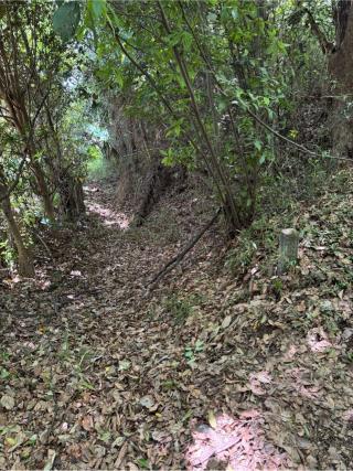 松山城（武州松山城・武蔵松山城）の登城記録(Wattさん)