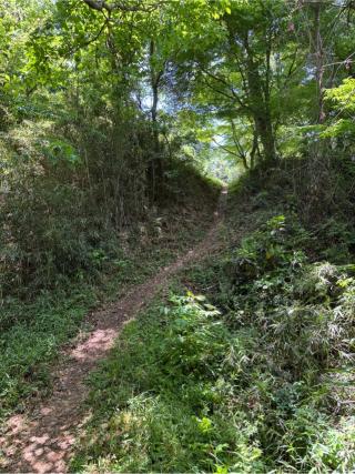 松山城（武州松山城・武蔵松山城）の登城記録(Wattさん)