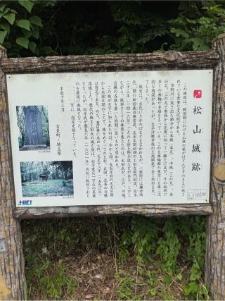 松山城（武州松山城・武蔵松山城）の登城記録(無極さん)