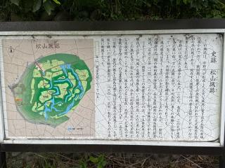 松山城（武州松山城・武蔵松山城）の登城記録(無極さん)