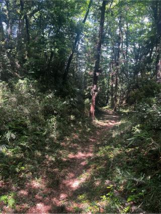 松山城（武州松山城・武蔵松山城）の登城記録(やさかさん)