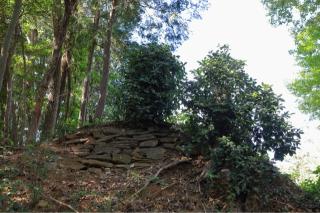 小倉城（玉川城）の登城記録(こにーさん)