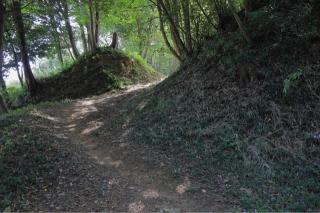 小倉城（玉川城）の登城記録(こにーさん)