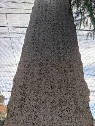 那波城（堀口城）の登城記録(マリリさん)