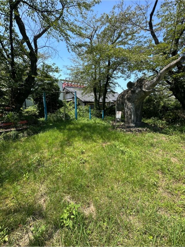 埼玉県本庄市大字東五十子 五十子陣の写真2