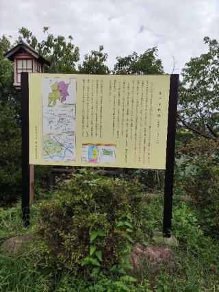 五十子陣の登城記録(マリリさん)