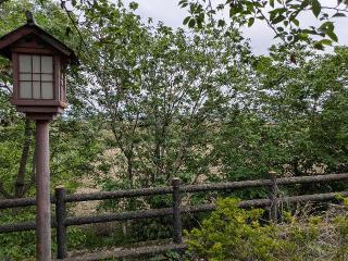 五十子陣の登城記録(まるさん)