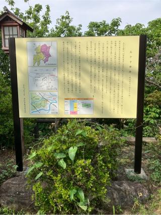 五十子陣の登城記録(監督さん)