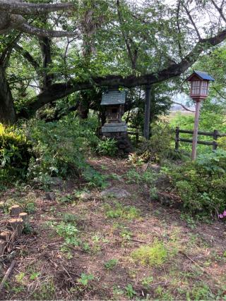 五十子陣の登城記録(監督さん)
