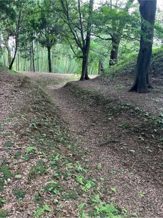 亀尾城の登城記録(キャッスルさん)