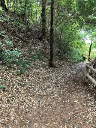 柏原城山砦（柏原城城山砦）の登城記録(監督さん)