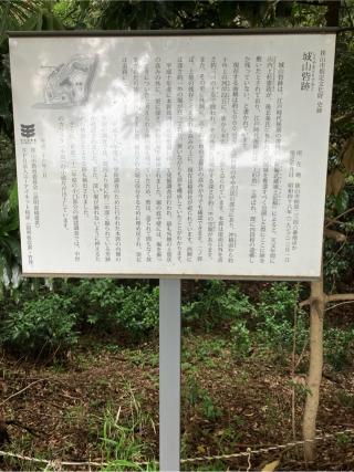 柏原城山砦（柏原城城山砦）の登城記録(監督さん)