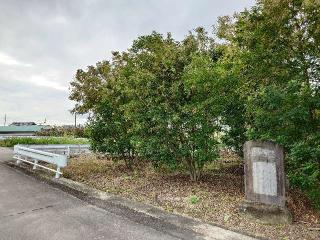 片原一色城の登城記録(本多百助さん)