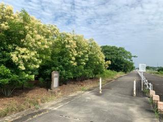 片原一色城の登城記録(くーさん)