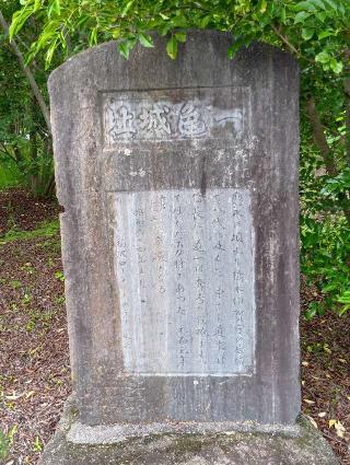 片原一色城の登城記録(生涯足軽さん)