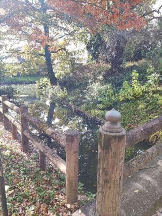 大室城の登城記録(マリリさん)