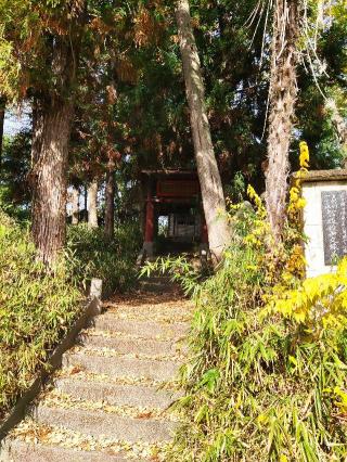 新土塚城の登城記録(マリリさん)