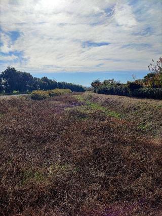 新土塚城の登城記録(マリリさん)