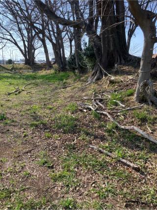 河越館の登城記録(監督さん)