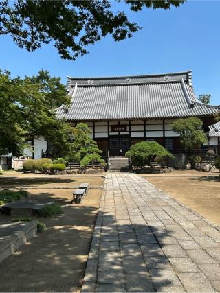 庁鼻和城の登城記録(清正さん)