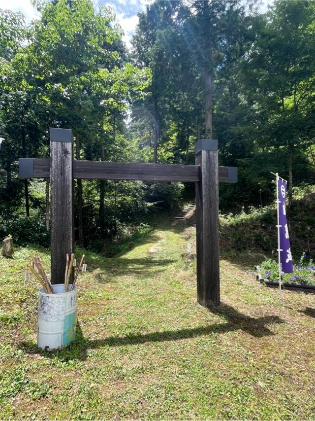 岐阜県恵那市明智町 明知城の写真1