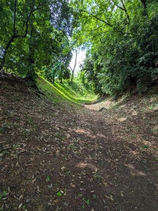 雉岡城の登城記録(まるさん)