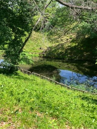 雉岡城の登城記録(監督さん)
