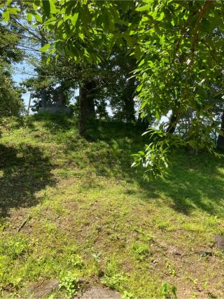 雉岡城の登城記録(監督さん)